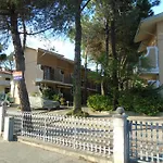 Rondini